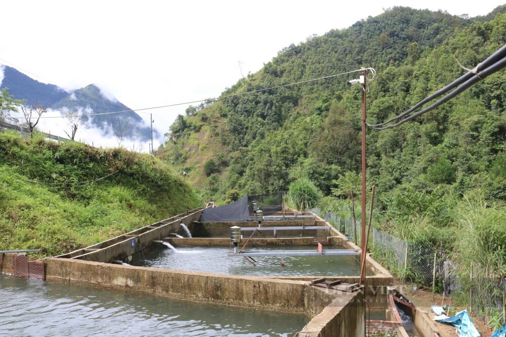 Sapa is one of the few places in Vietnam where salmon and sturgeon are successfully farmed
